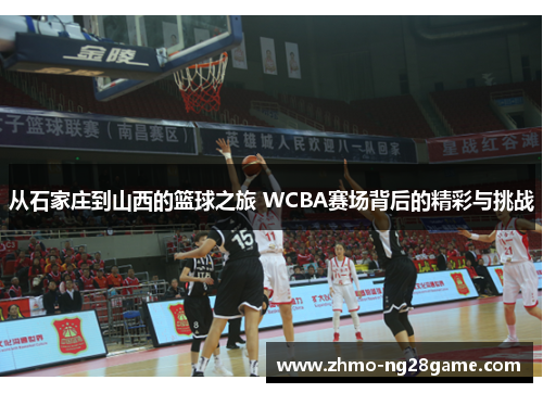 从石家庄到山西的篮球之旅 WCBA赛场背后的精彩与挑战