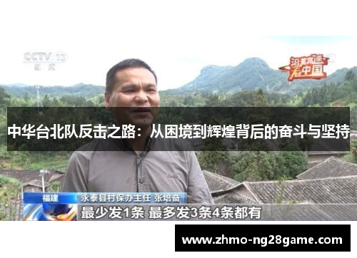 中华台北队反击之路：从困境到辉煌背后的奋斗与坚持