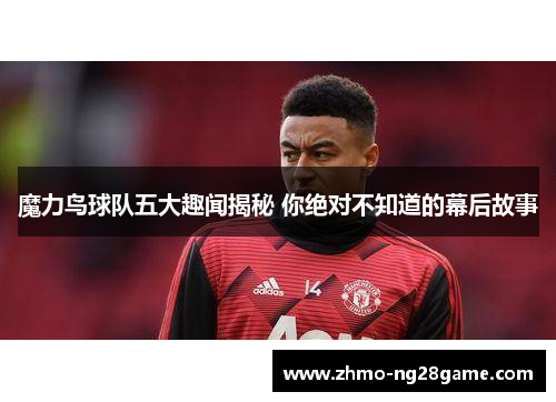 魔力鸟球队五大趣闻揭秘 你绝对不知道的幕后故事